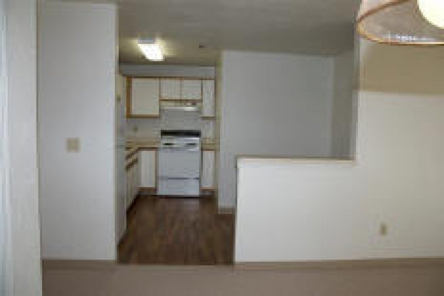 21 Dillon St. Apt 1410_4